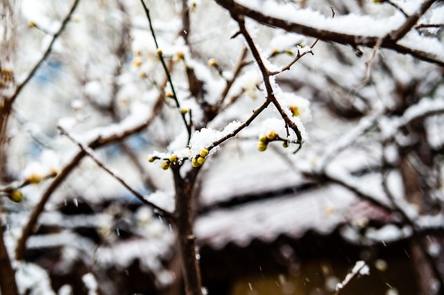 策底层